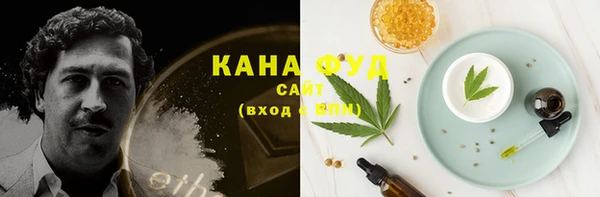PSILOCYBIN Белокуриха