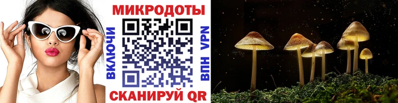 где купить наркотик  Болхов  Псилоцибиновые грибы MAGIC MUSHROOMS 